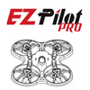 EZ Poilt PRO BNF中文说明书