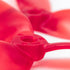 files/569A2665.webp