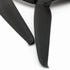files/569A2670.webp