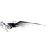 products/avan_rush_black_1.jpg